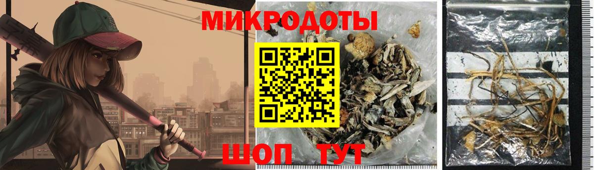 Галлюциногенные грибы мухоморы  Вход с VPN  Сланцы 