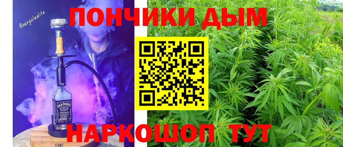 Конопля марихуана Сланцы
